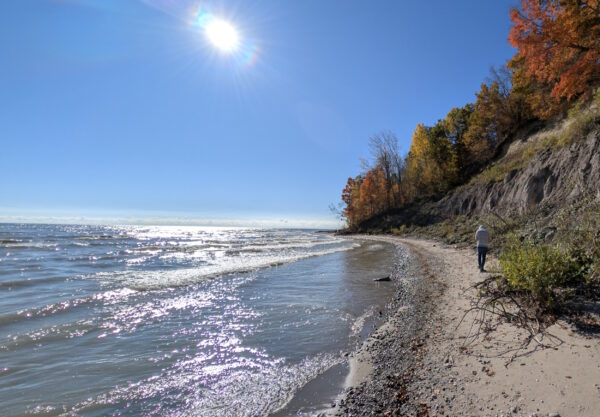 PXL_20251026_151539344