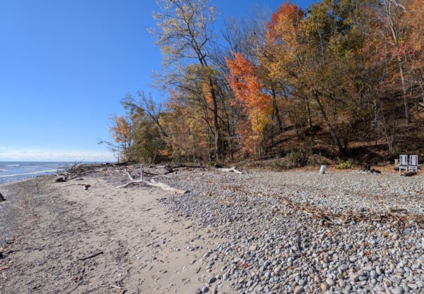 PXL_20251026_152018113