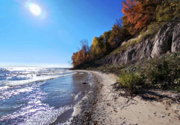 Screenshot_20260102_190905_Gallery